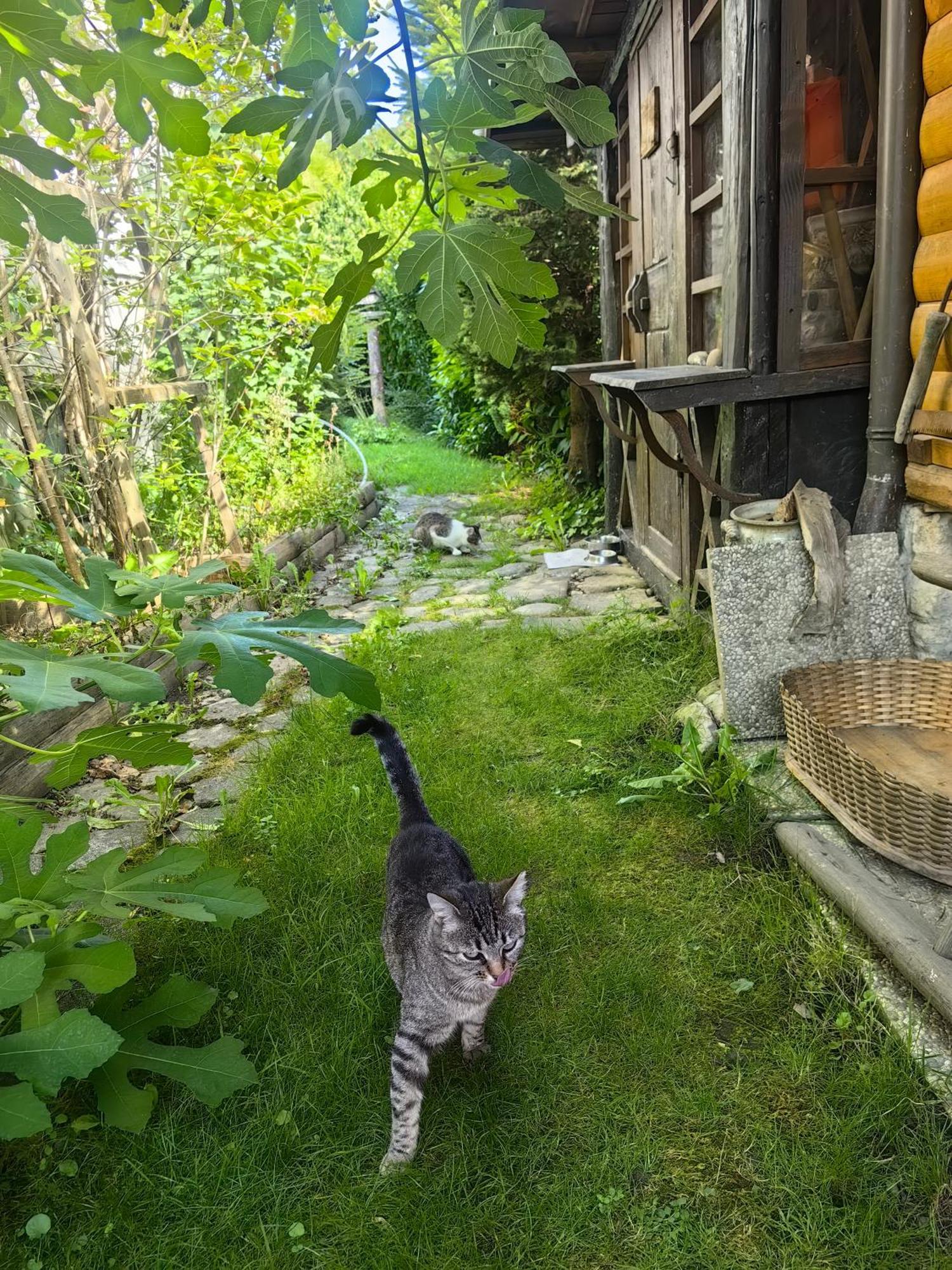 Hisa Hortenzija Luče Kültér fotó